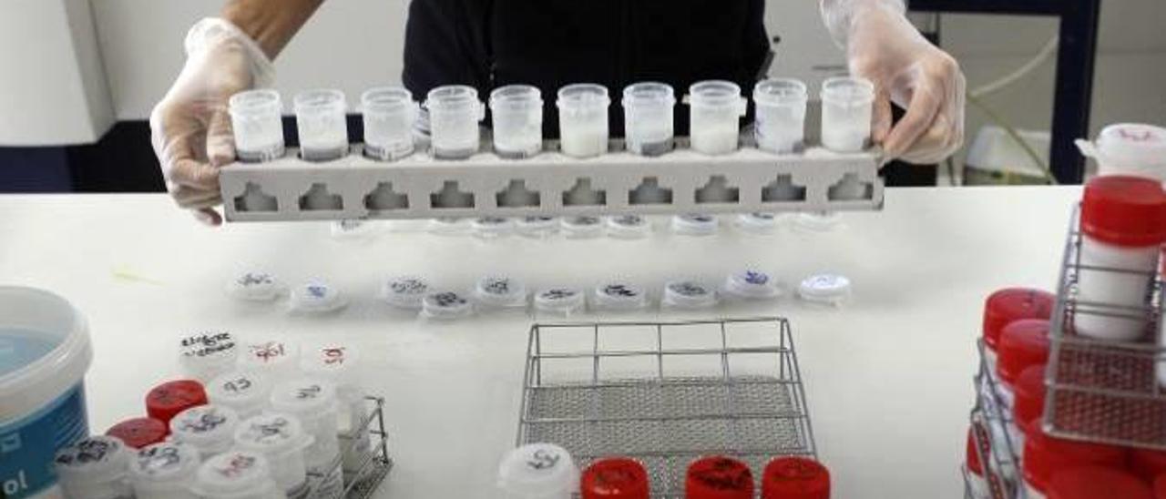 Una investigadora, en un laboratorio de la Universitat Politécnica de València.