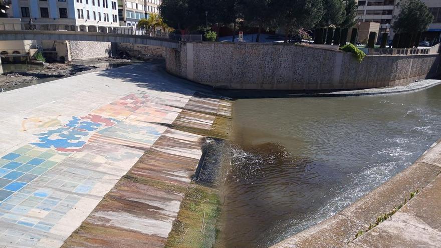 Los mosquitos asedian Orihuela: el Ayuntamiento intensifica el control de focos