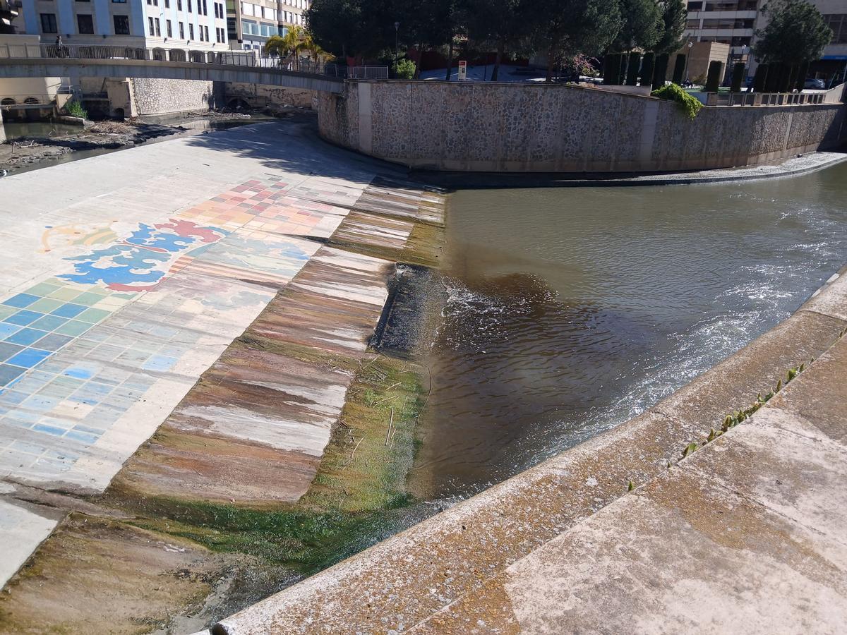 Aumenta la frecuencia de los tratamientos en algunas zonas del río Segura a su paso por el casco urbano