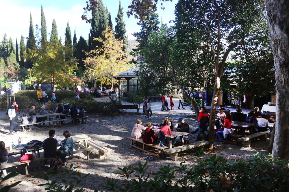 Afluencia masiva de público al botánico con motivo del mercado navideño que ofrecía, además, la posibilidad de visitar de forma gratuita, los jardines