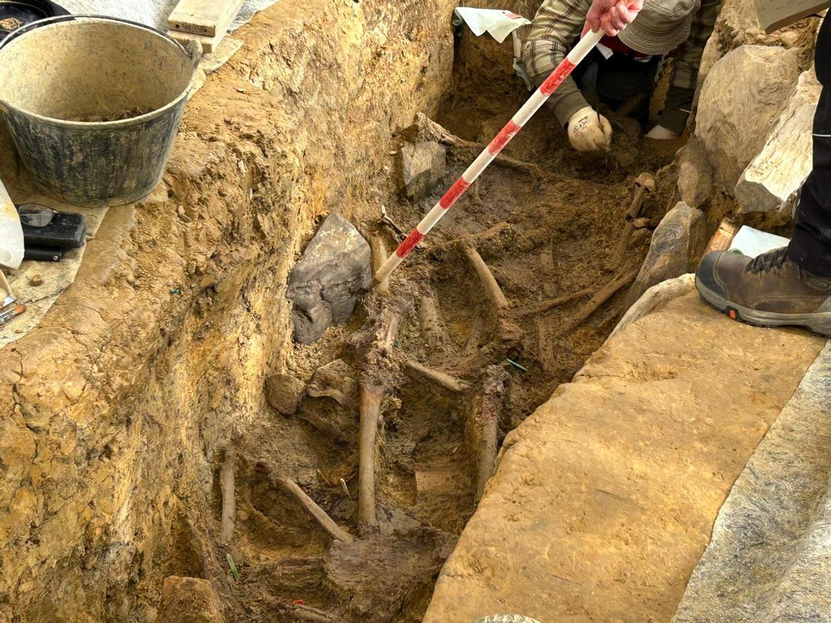 EN IMÁGENES: Así avanzan los trabajos de exhumación en la fosa común de La Lloba, en Castrillón
