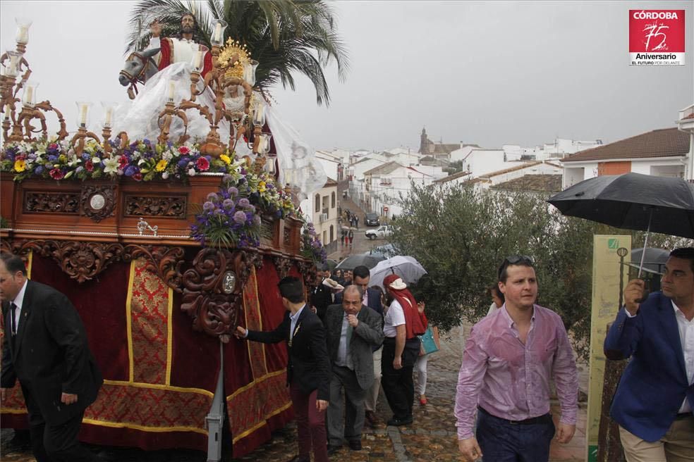 FOTOGALERÍA / El Domingo de Ramos en la provincia