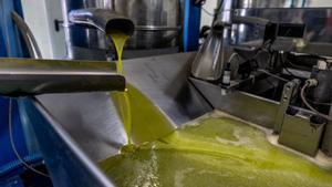 El Govern central espera que l’oli d’oliva baixi de preu a la tardor