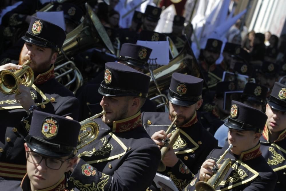 Domingo de Ramos | Salutación