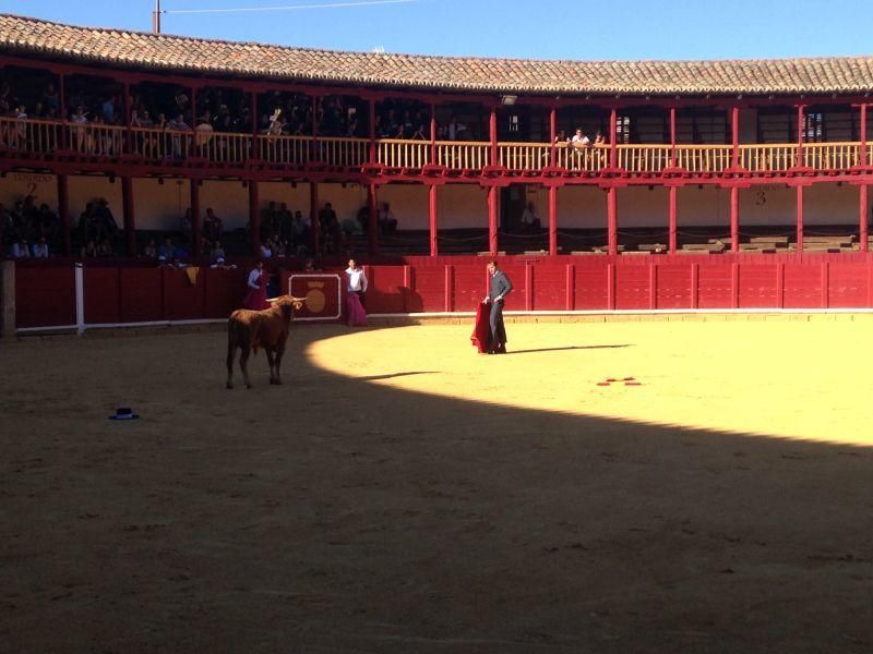 Fiestas en Toro | Becerrada de las peñas