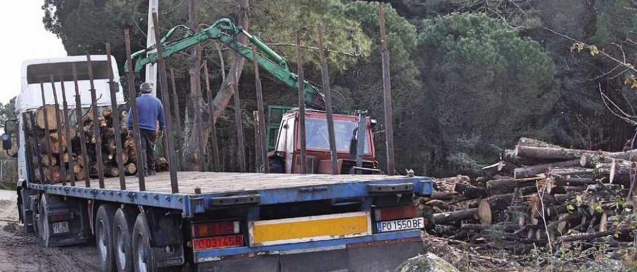 El segundo tráiler del día ayer recogía troncos en la zona del aparcamiento en Viñó. // Santos Álvarez