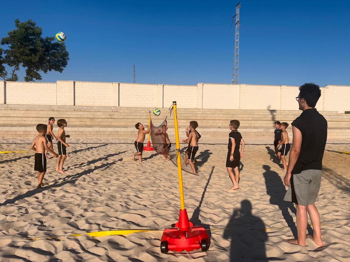Federación Extremeña de Voleibol.
