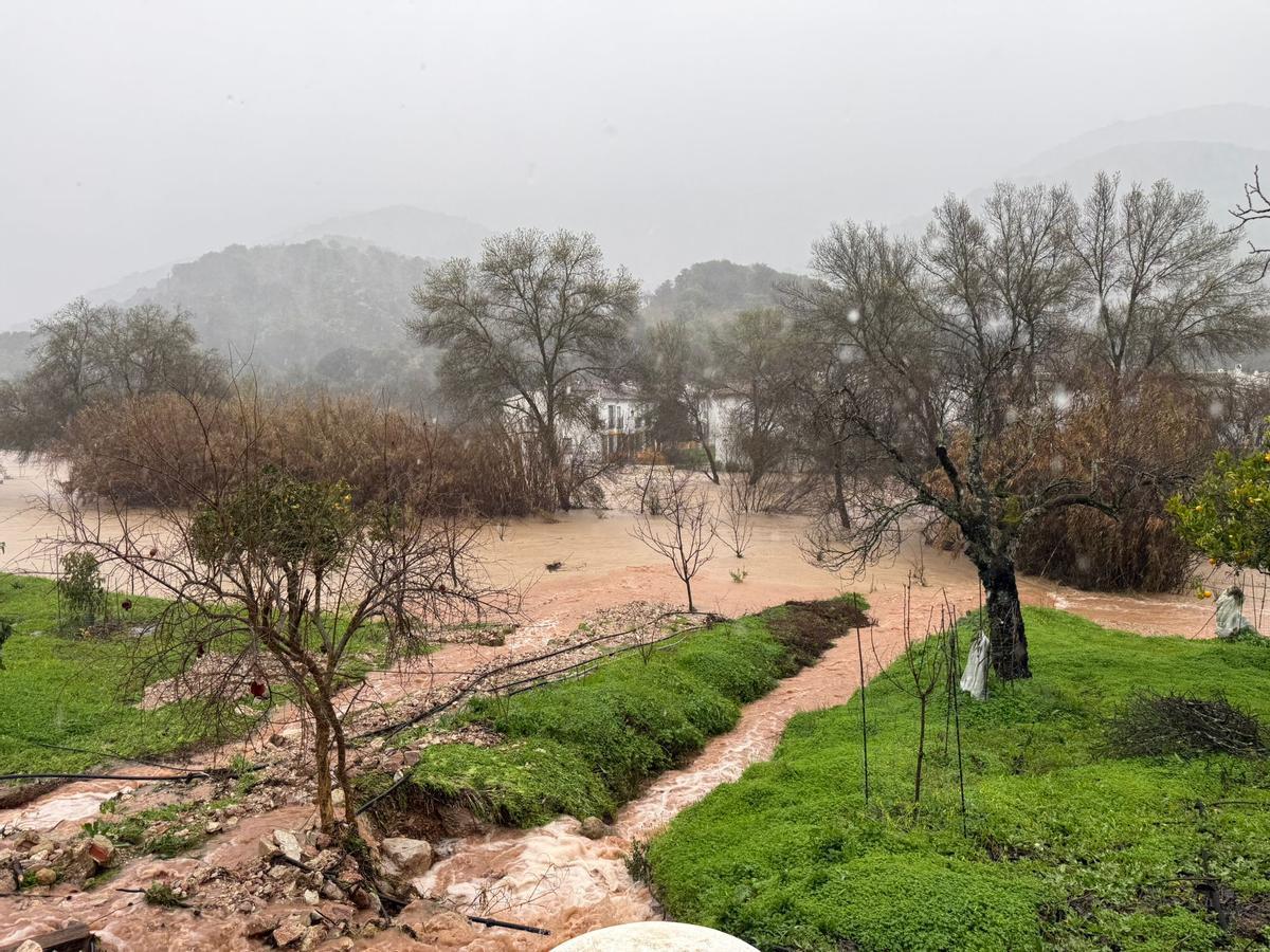 El río Guadiaro lleva 40 horas desbordado y sin perspectivas de que se reconduzca a corto plazo.