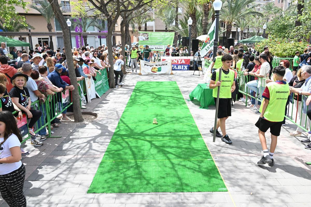 XIV Campeonato de lanzamiento de hueso de dátil de Elche, en imágenes