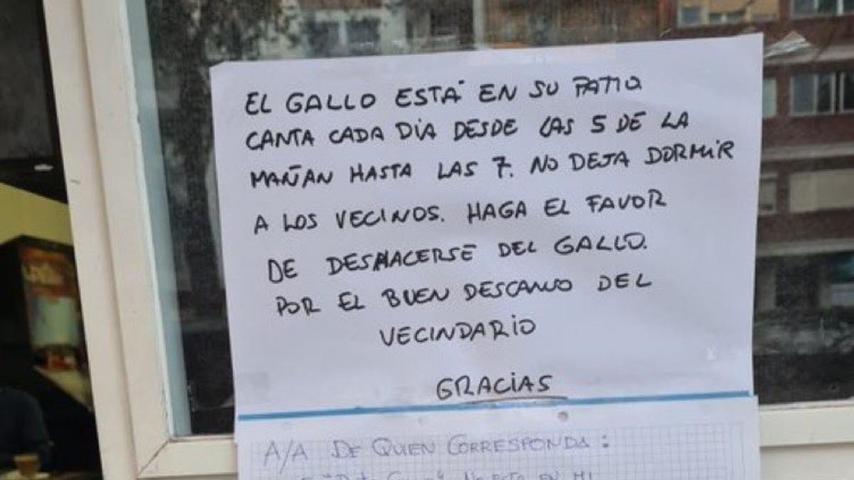 El tronchante conflicto vecinal por un un gallo en Palma: &quot;El cabrón es más &#039;vivo&#039; que nosotros&quot;