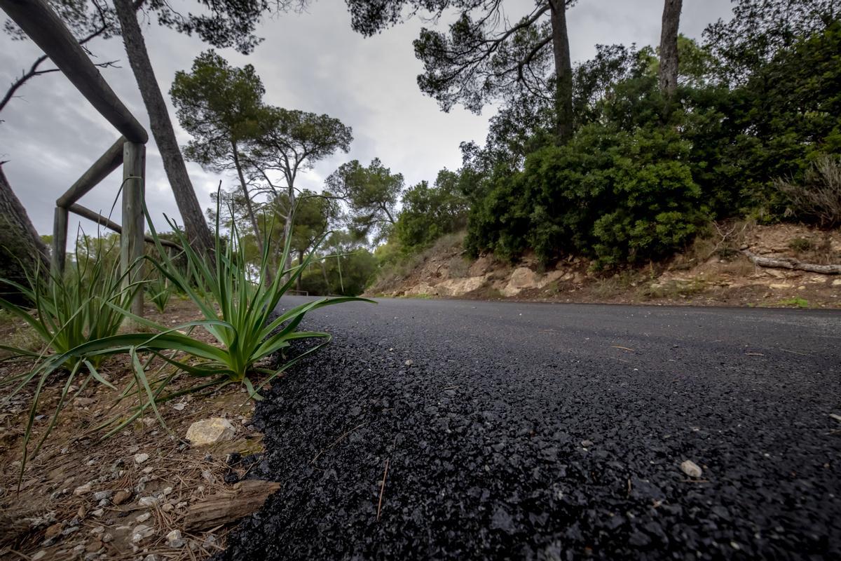 Las fotos del asfaltado del bosque de Bellver que indigna a ciudadanos y ecologistas Las fotos del asfaltado del bosque de Bellver que indigna a ciudadanos y ecologistas