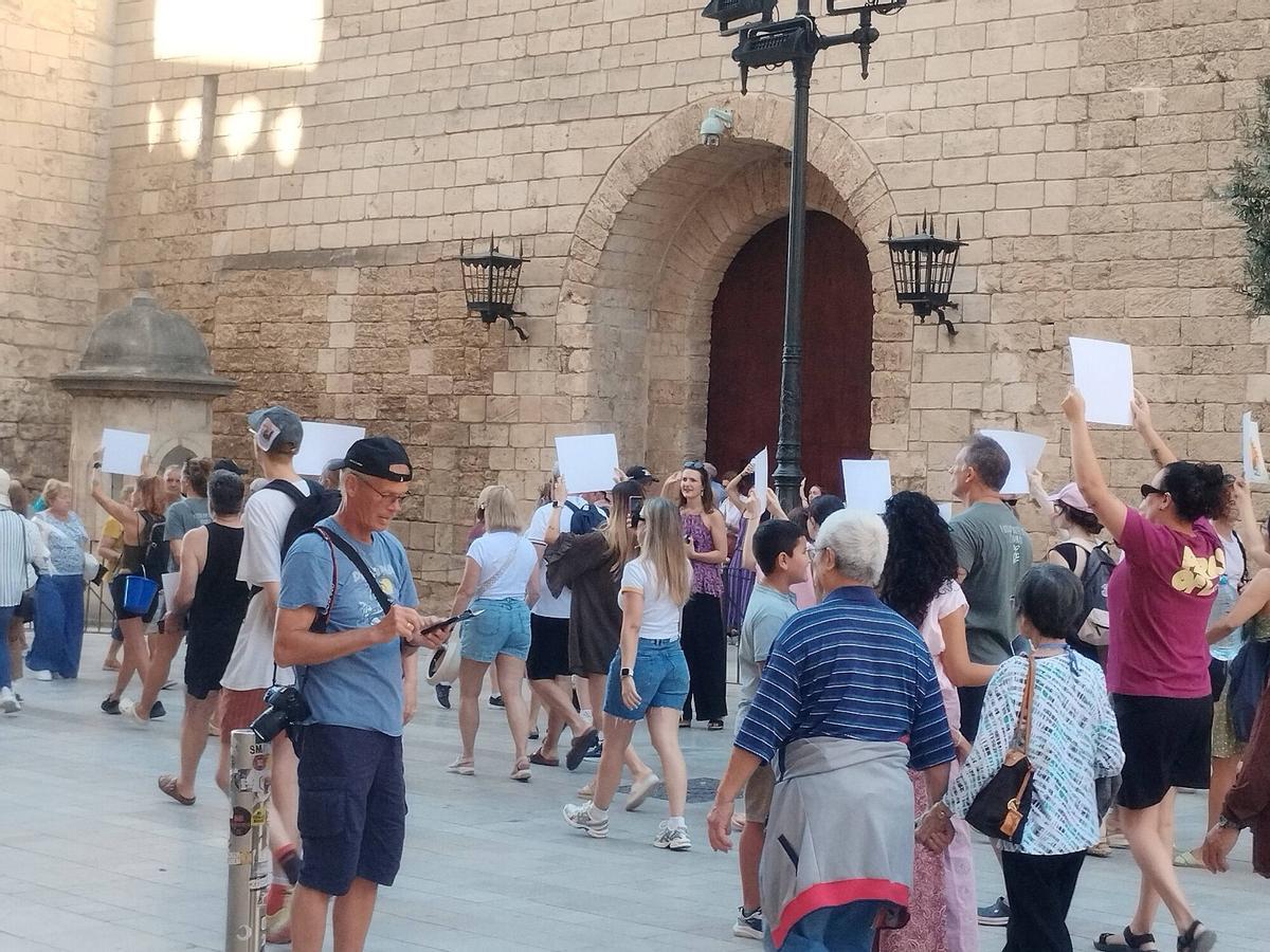 Imágenes de la protesta contra los caleseros