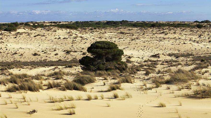 Europa censura el almacén de gas en Doñana y pide cerrar los pozos ilegales