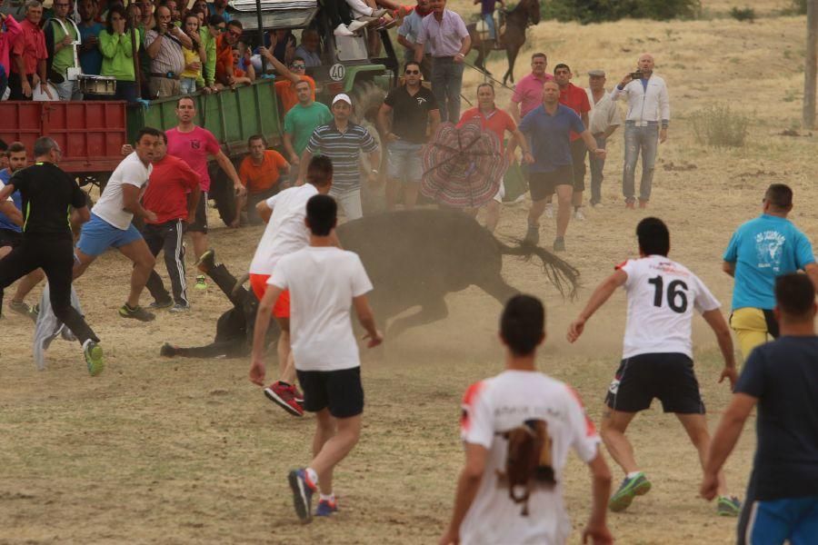 Segundo encierro taurino en Guarrate