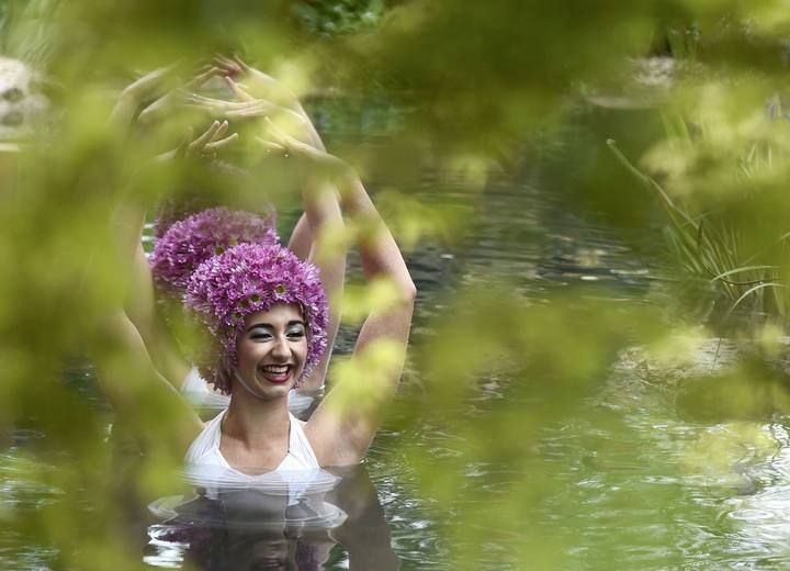 Three synchronized swimmers wear hats made out of 800 chrysanthemums each at the M & G Retreat garden at the Royal Horticultural Soceity's Chelsea Flower Show in London