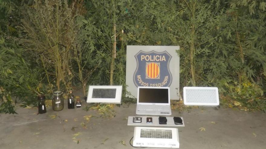 Detenen un home per cultivar marihuana en una finca de Solsona