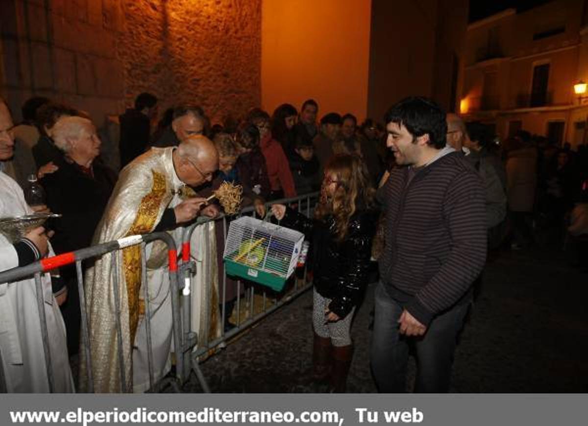 GALERÍA DE FOTOS - Matxa de Sant Antoni Alamassora