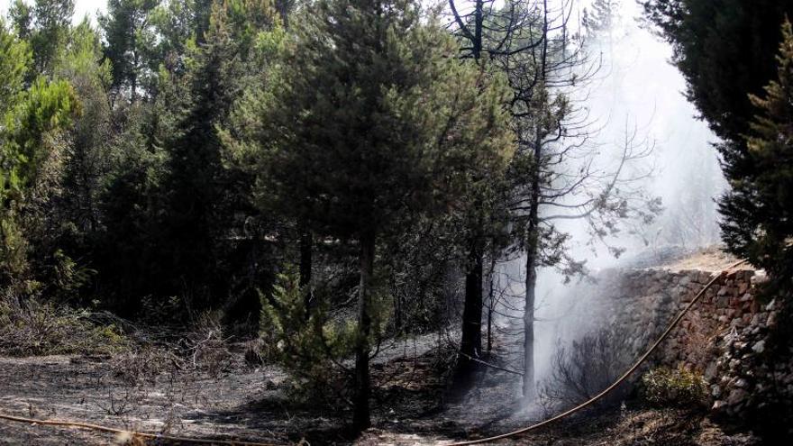 Imagen del incendio extinguido hace unos días en Sant Carles.