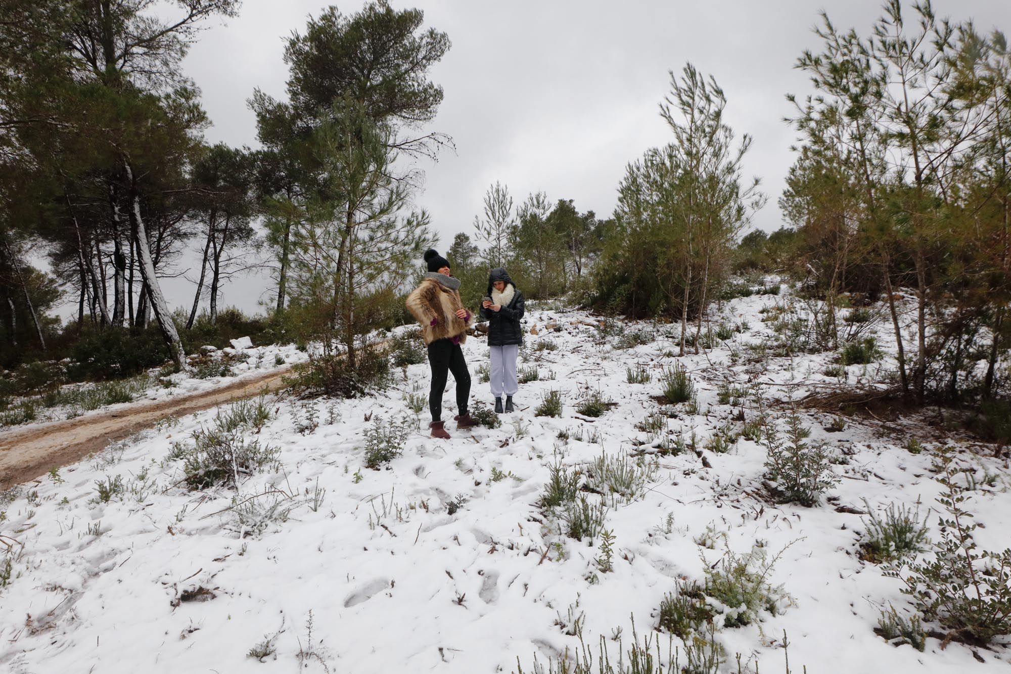 Galería de imágenes de la nieve por la borrasca Juliette en Ibiza