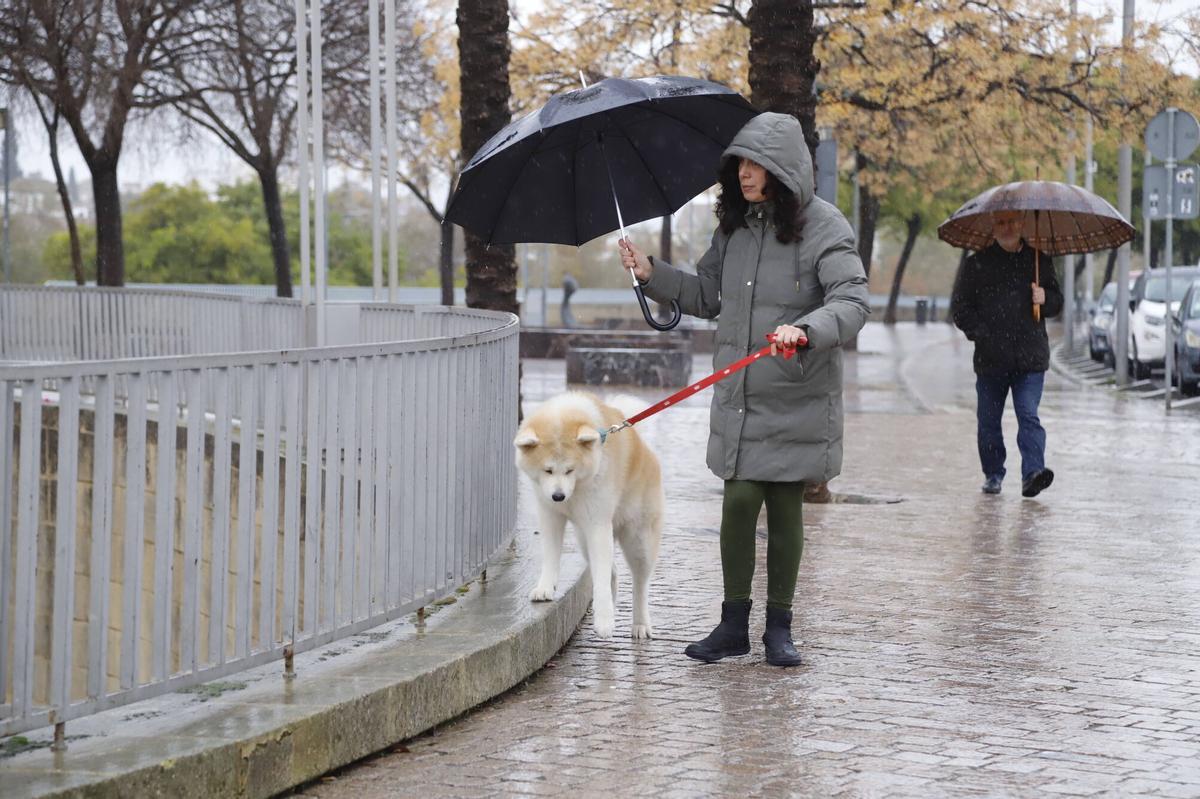 Lluvia en Córdoba.