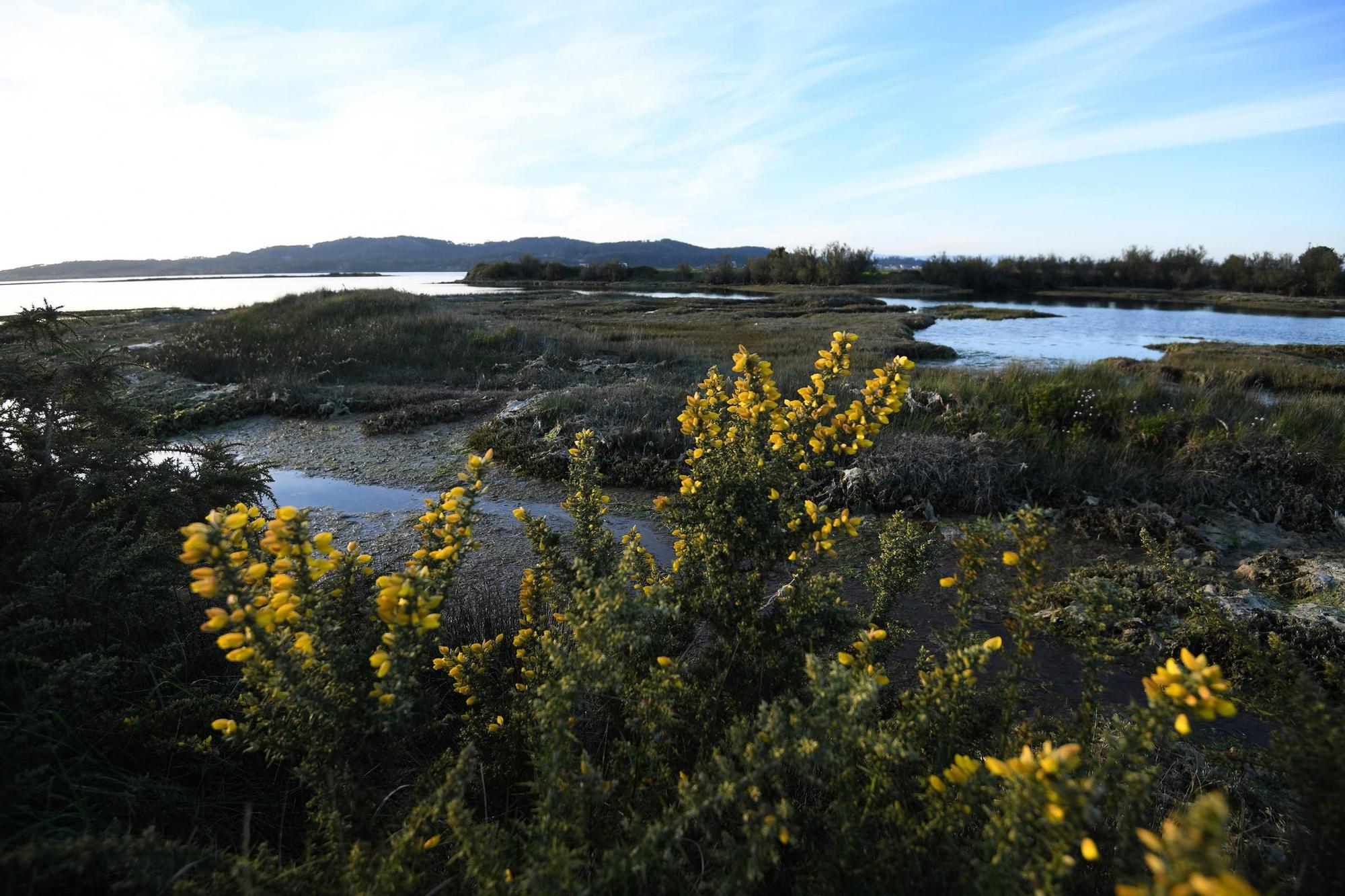 La ensenada de Arnosa, una joya histórica y ambiental