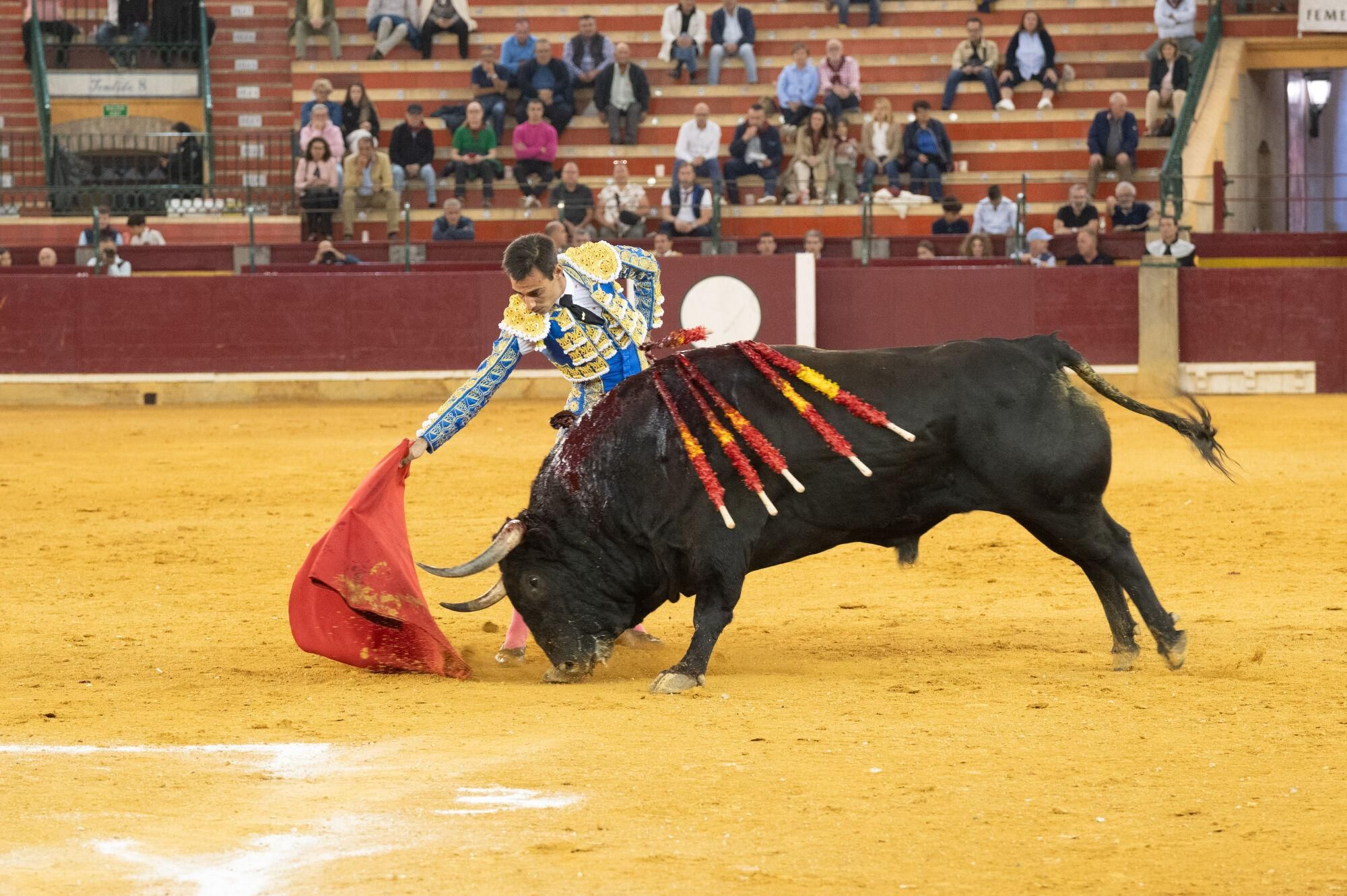 Concurso de ganaderías de la Feria del Pilar