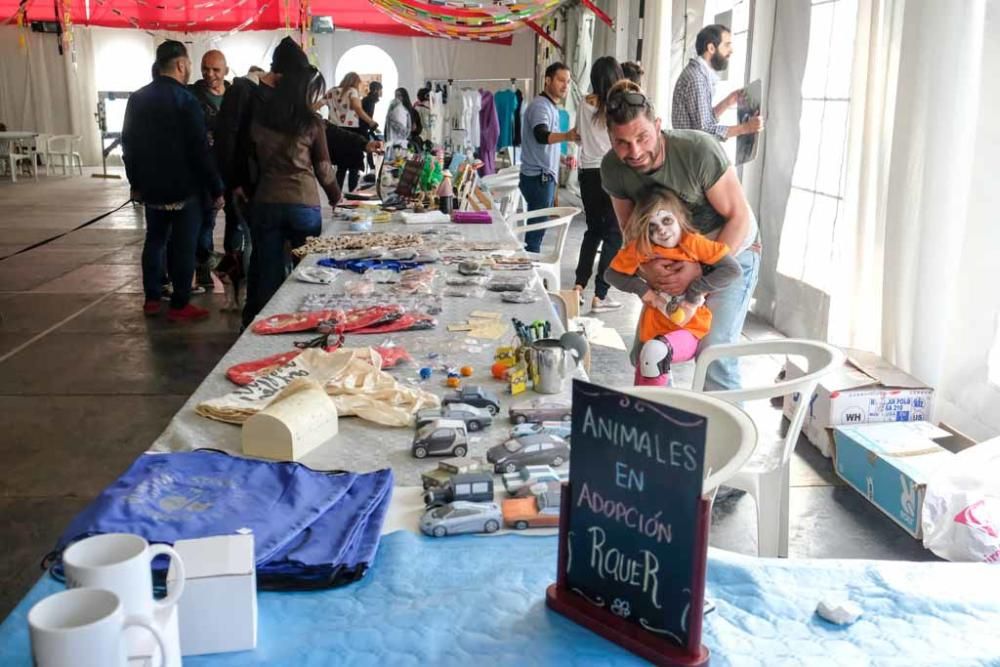 Fiesta en beneficio de los animales