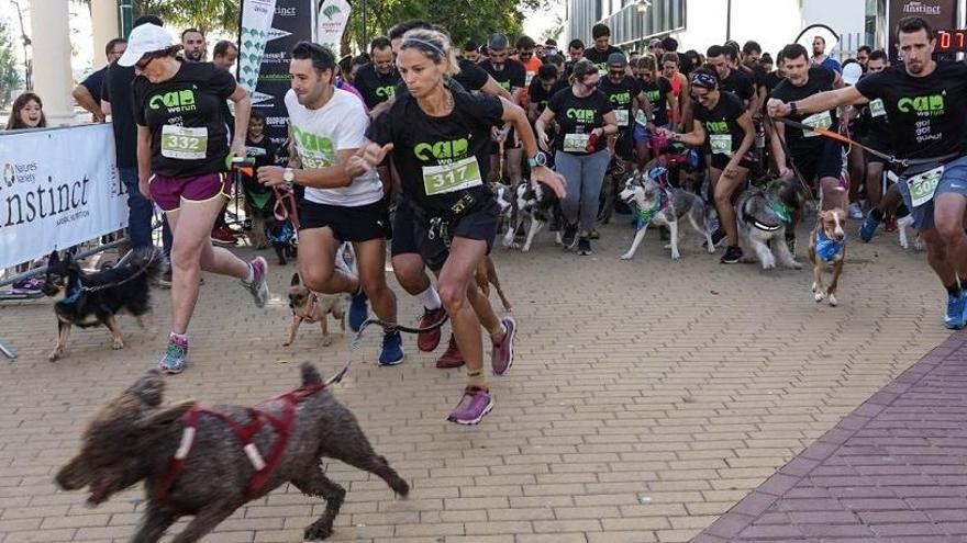 Carrera Can We Run organizada por La Opinión en septiembre pasado en el Parque Huelin.