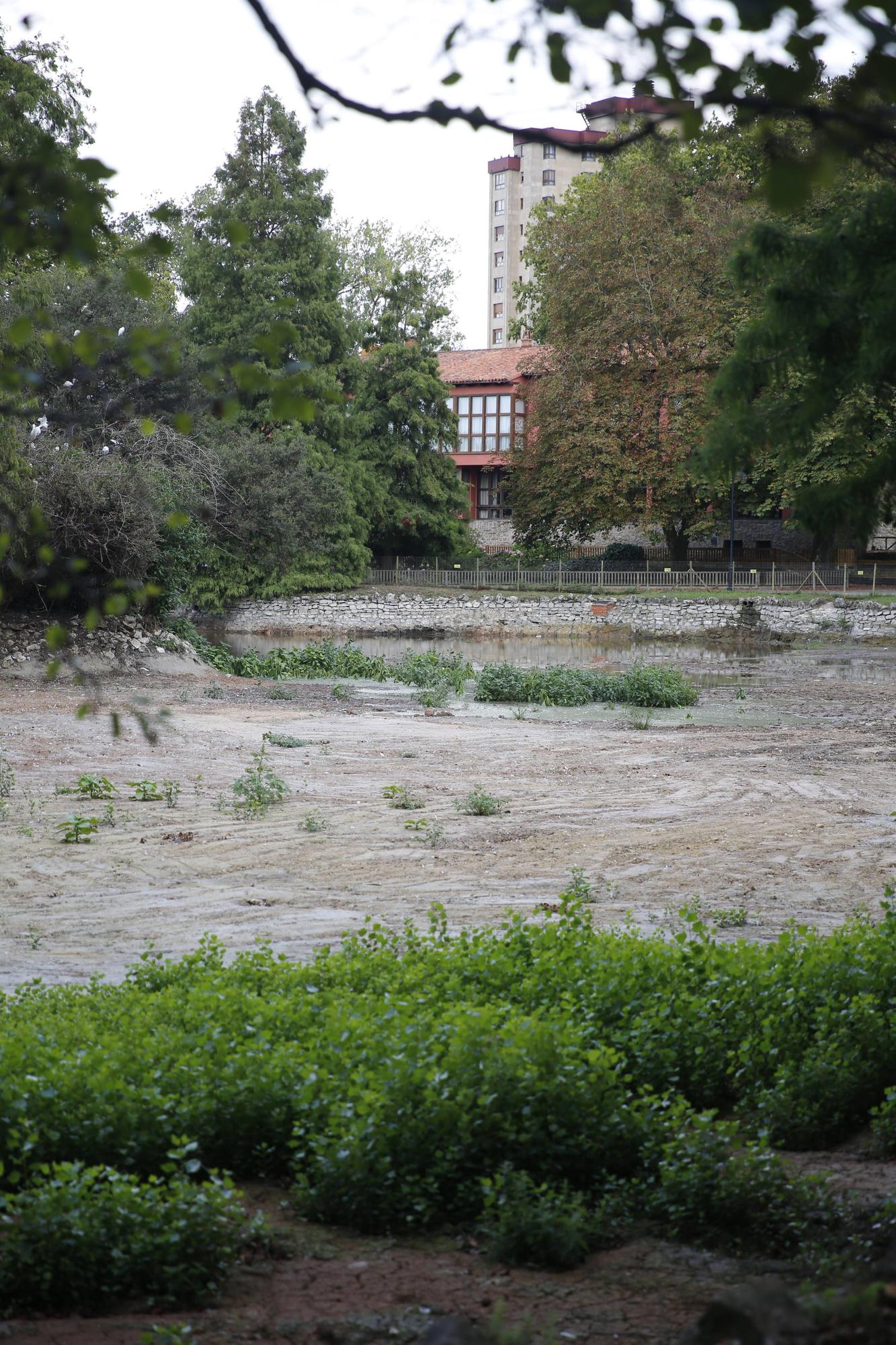 La laguna grande del parque de Isabel la Católica, con agua de lluvia (en imágenes)