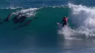 Un grupo de delfines acompaña y aúpa a la victoria a una surfista hawaiana en Australia