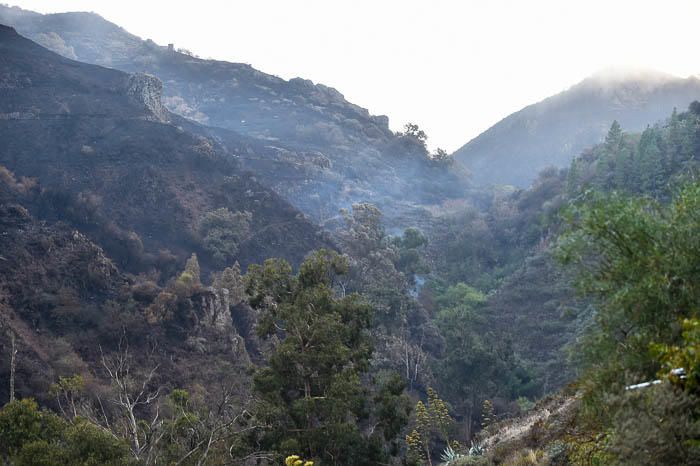 Vistas de las laderas del barranco de La Mina ...