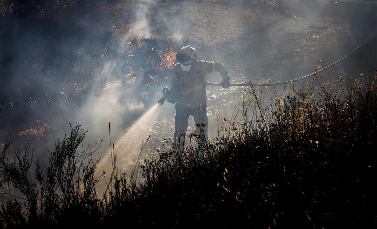 undefined48823718 ribera d ebre  27 06 2019 incendio en la ribera d ebre  en l190628200156
