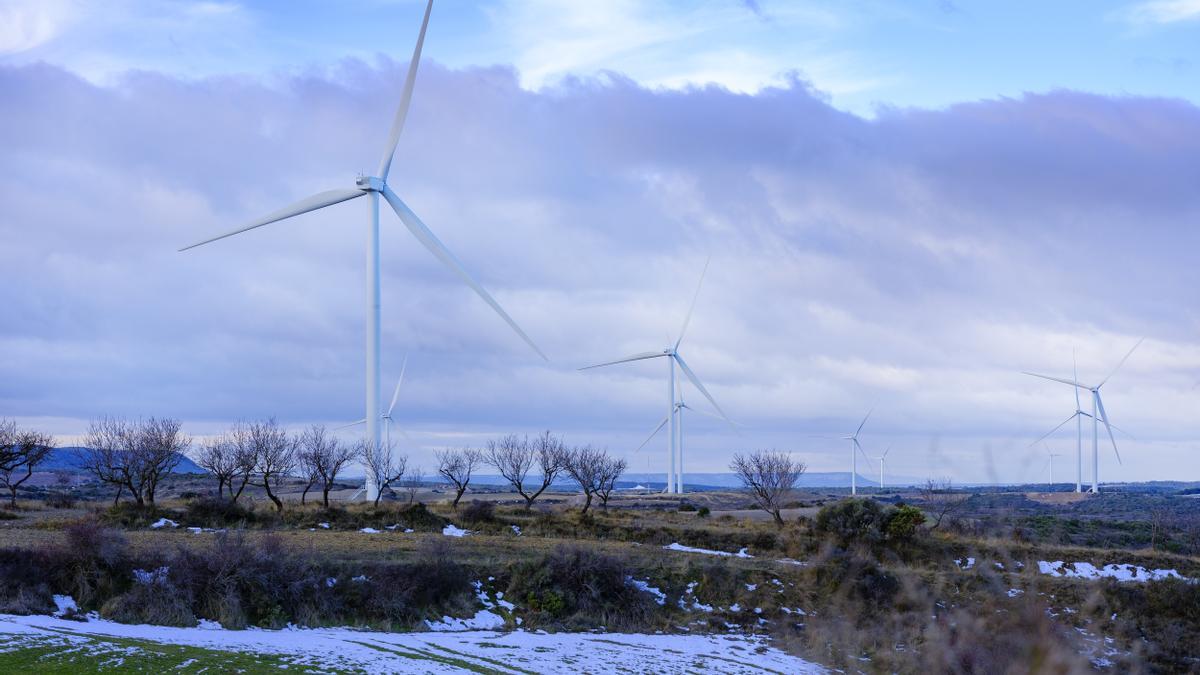 Para sus proyectos de plantas de energías renovables, Forestalia siempre prioriza ubicaciones fuera de zonas afectadas por alguna figura legal de protección y busca áreas compatibles ambientalmente.