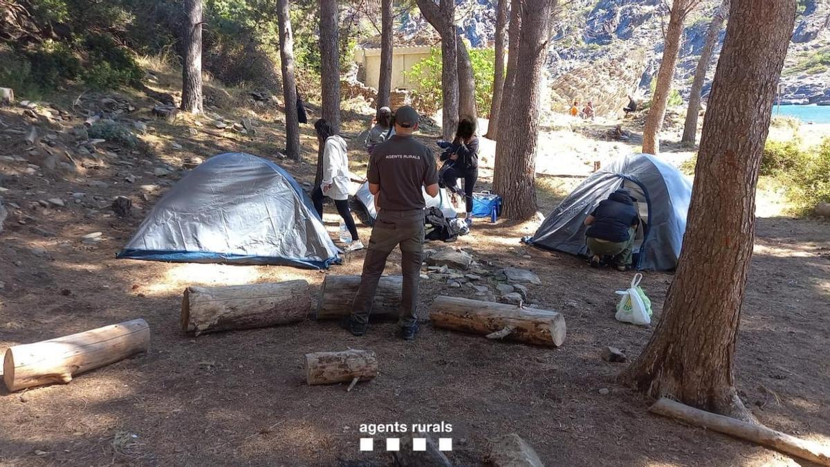 Els Agents Rurals denuncien quatre persones per fer foc i acampar a Cala Tavallera