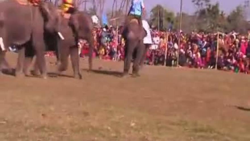 Elefantes futbolistas en Nepal