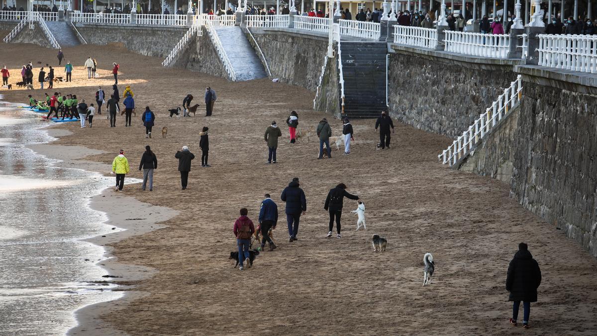 La sablera de San Llorienzo, con munches mascotes.