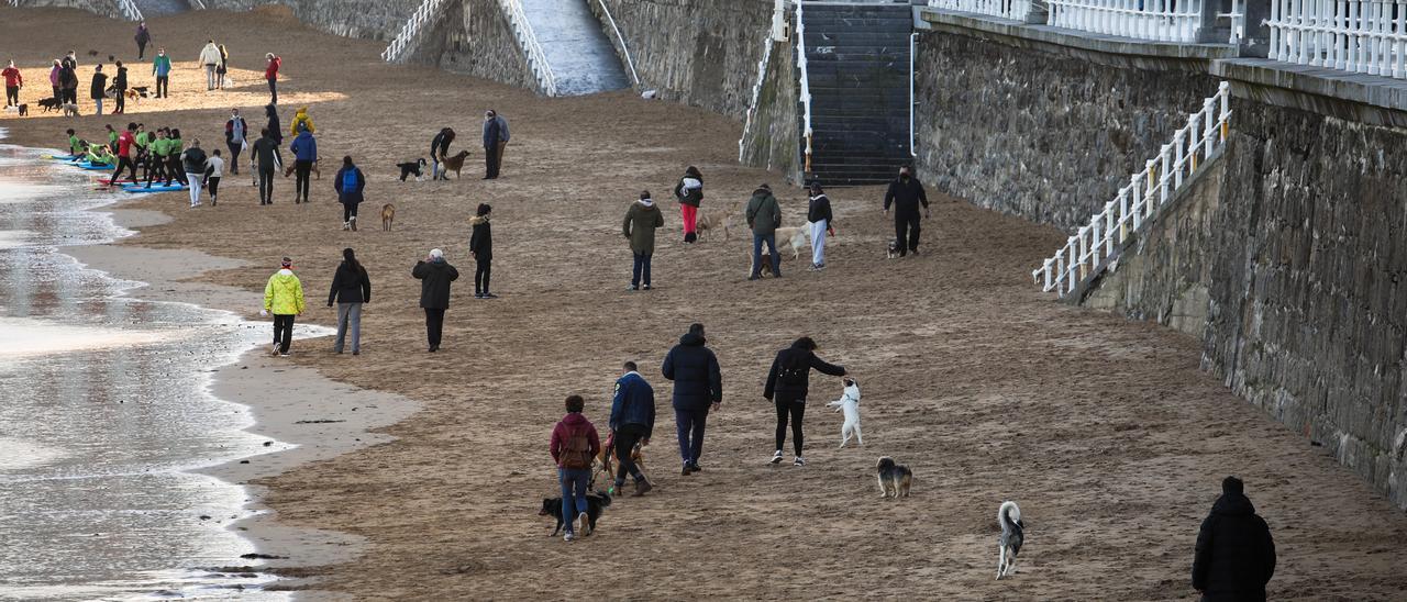 La playa de San Lorenzo, con muchas mascotas.