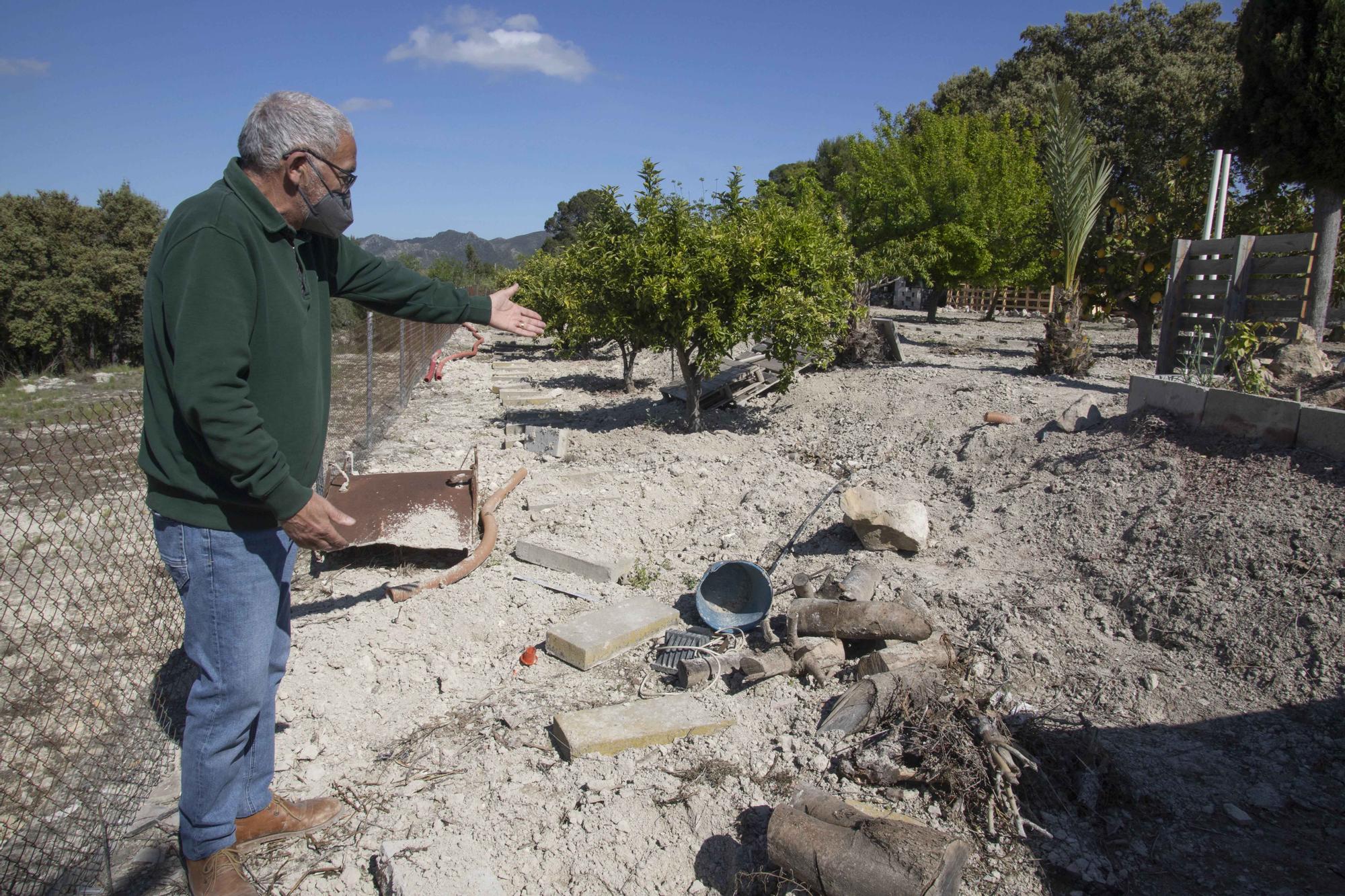 Los jabalíes destrozan parcelas de la urbanización Bixquert