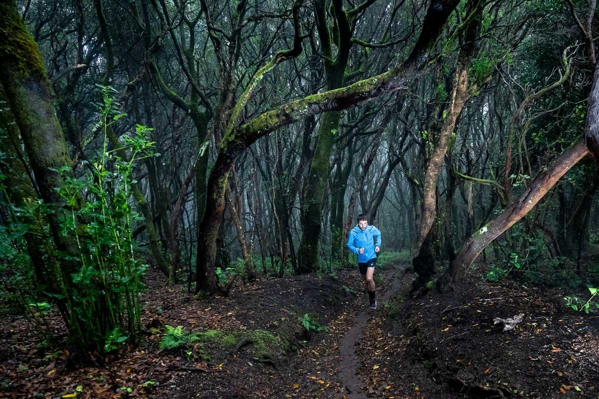 El Parque Rural de Anaga es ideal para la práctica del senderismo