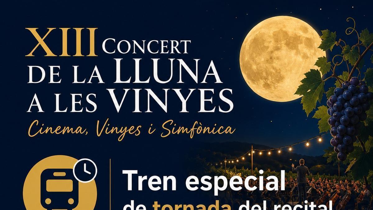 Cartel informativo sobre el servicio especial de tren