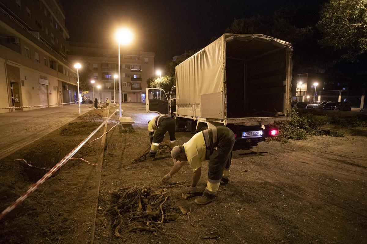 Imagen de archivo de trabajos de la SAG.