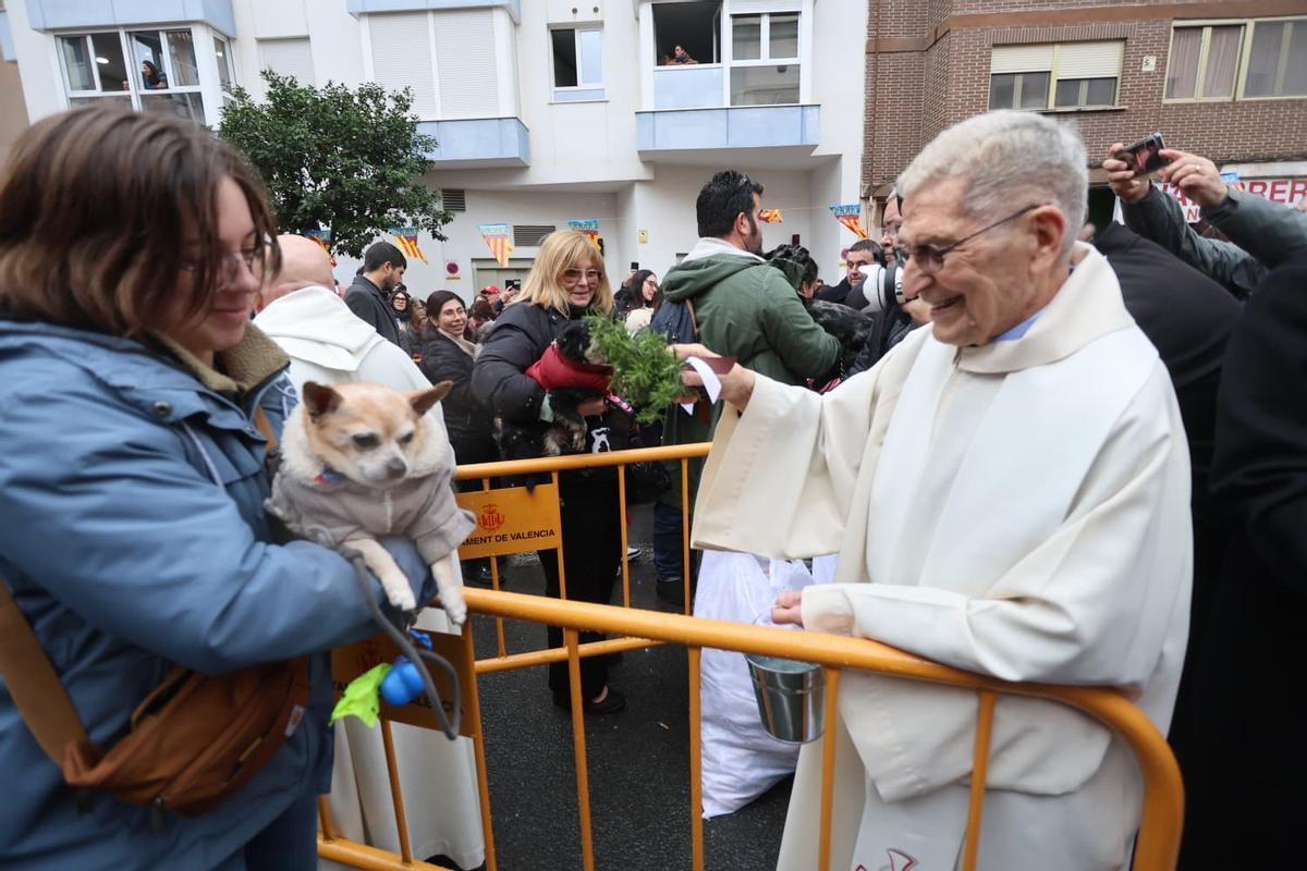 Bendición de animales por Sant Antoni en la calle Sagunt de València