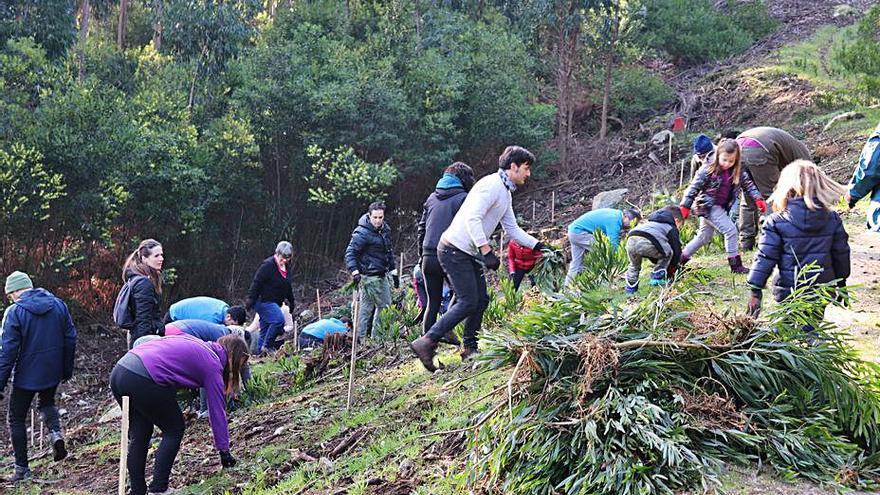 Mozos nunha das actividades medioambientais organizadas na Guarda, con anterioridade á pandemia da COVID-19.   | // D.P.