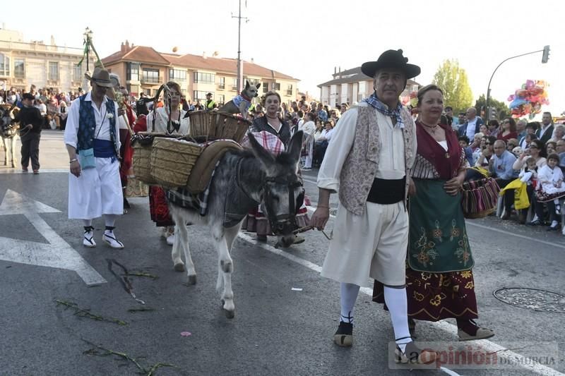 Desfile del Bando de la Huerta (II)