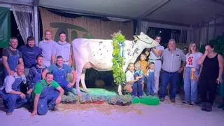 La ganadería salense Casa Venturo arrasa en el certamen de Frisona de Tineo: “La ubre y las patas, en esta raza, marcan un 60% del animal”