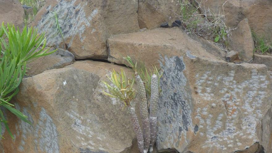 Zona arqueológica en el barranco del Pilar