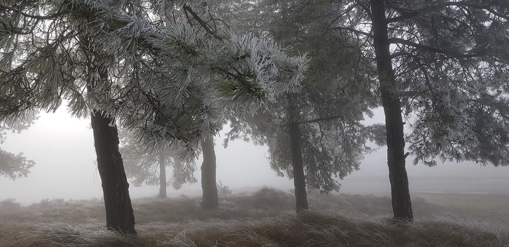 Boira. La boira gebradora és comuna a baixa altitud quan la situació de boira va acompanyada de temperatures ambientals per sota dels 0ºC .