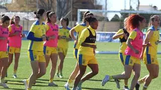 Diecisiete jugadoras del Alhama ElPozo defienden a su entrenador a través de AFE