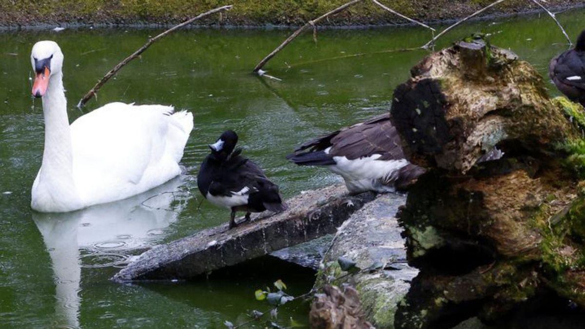 Actividades educativas en Vigo Nature.