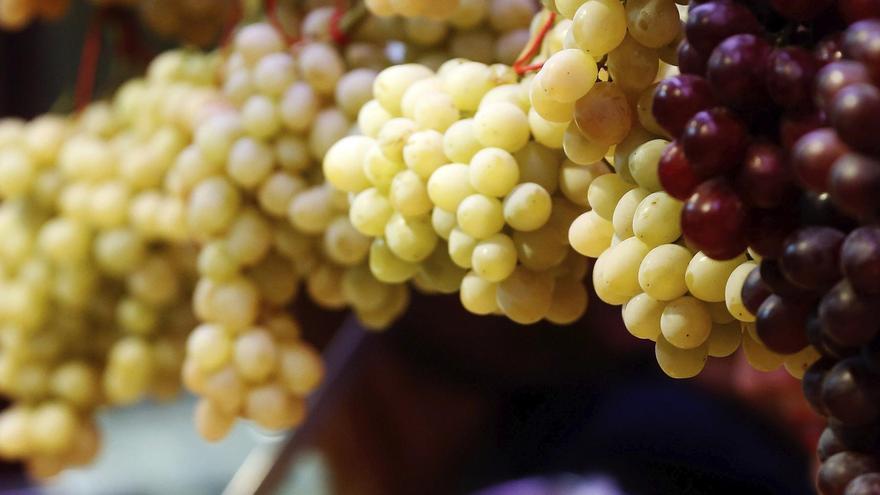 A propósito de las uvas